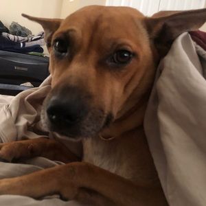 Meet your Posher, Ana